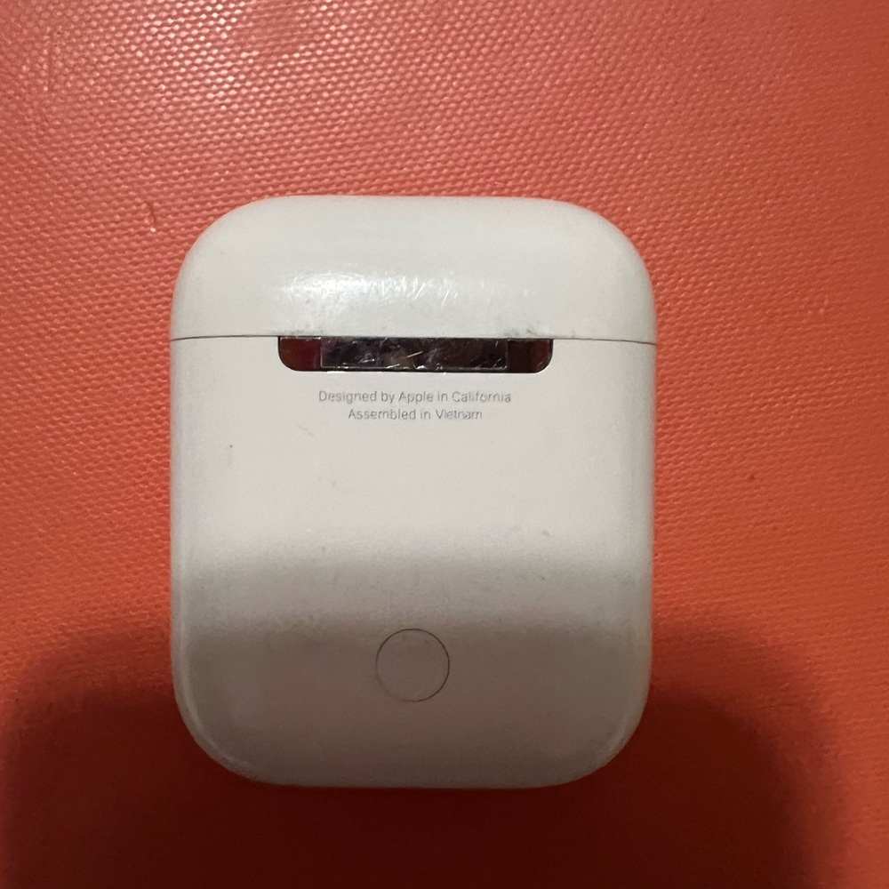 Apple White Earbuds Case